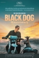 Black Dog - Weggefährten (OmU)