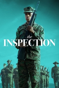 The Inspection The Inspection