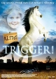 Rettet Trigger!