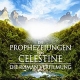 Die Prophezeiungen von Celestine