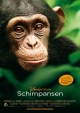 Schimpansen