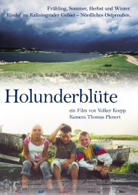 Holunderblüte Holunderblüte
