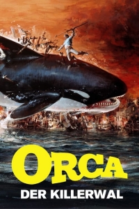 Orca Orca